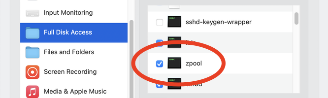 zpool-full-disk-accss.png